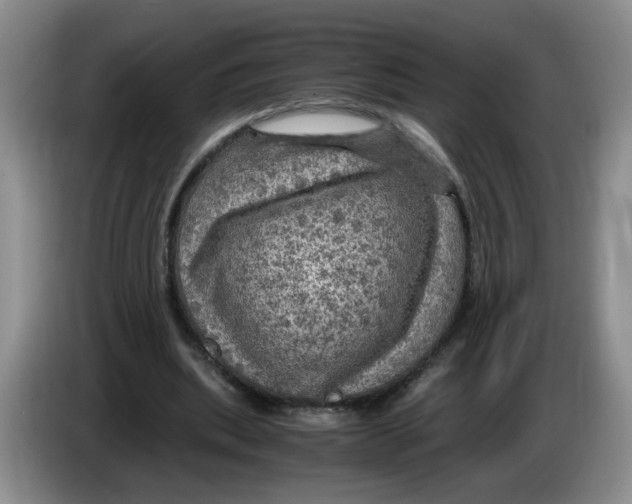 X0000084030439200703092013