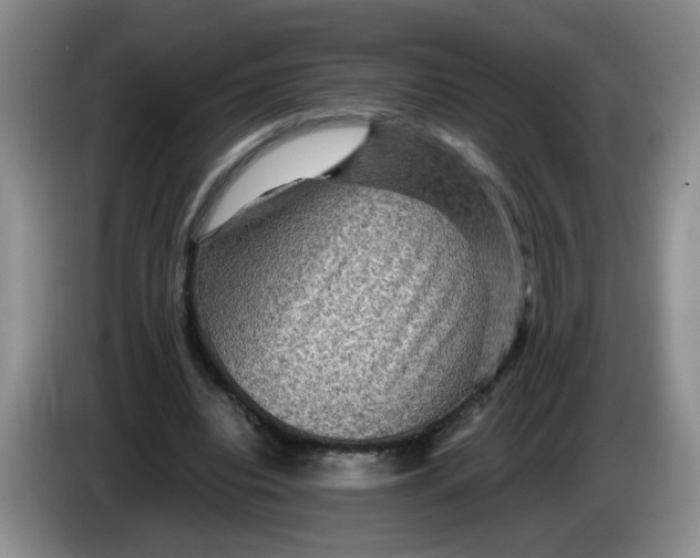 X0000084030440200703092013