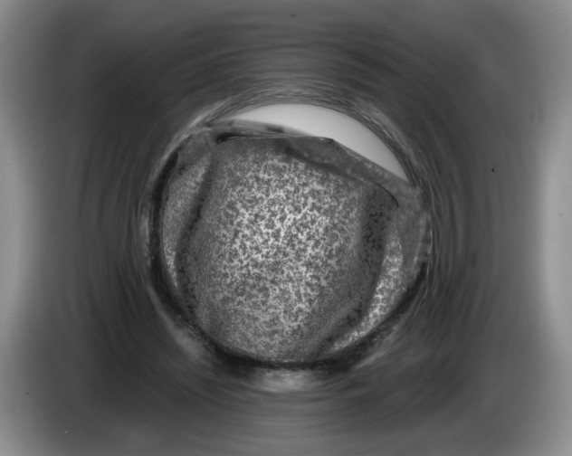 X0000084030444200703092013