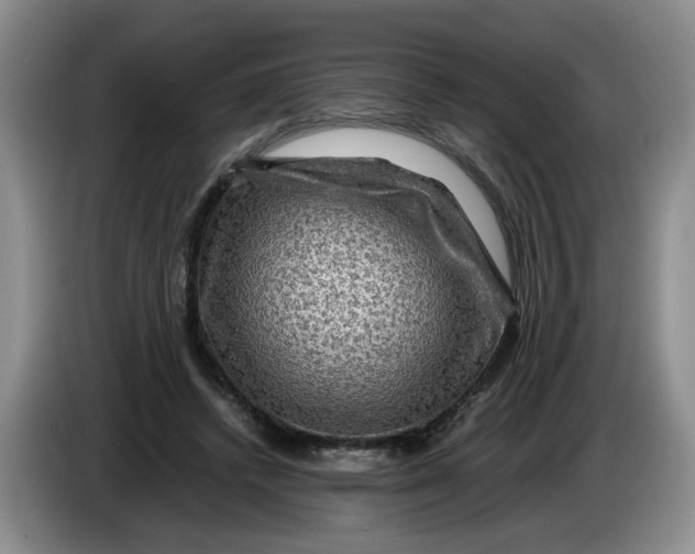 X0000084030448200703092013