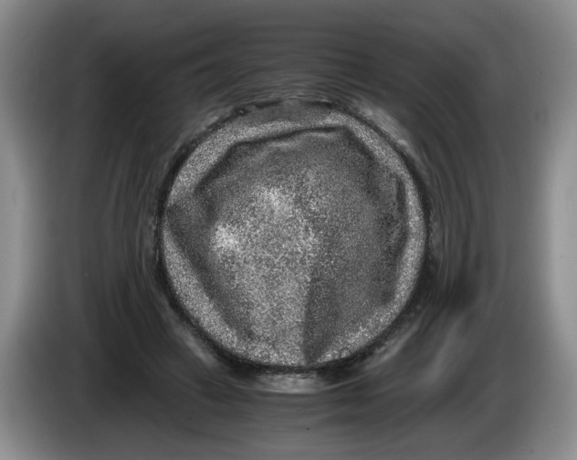 X0000084030449200703092013