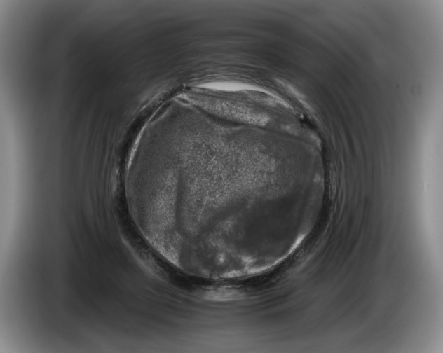 X0000084030451200703092013