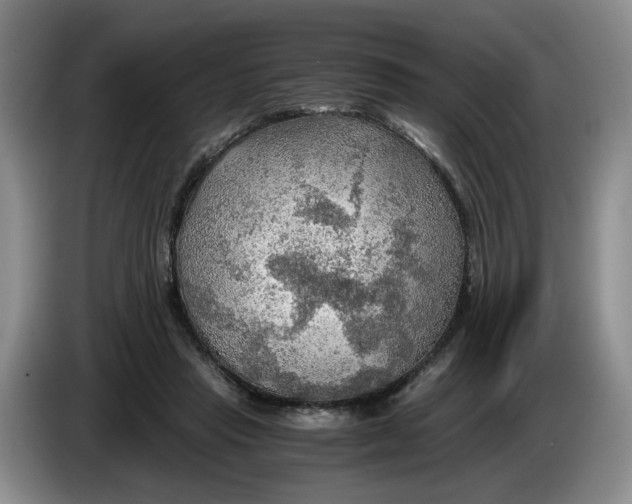 X0000084030453200703092014