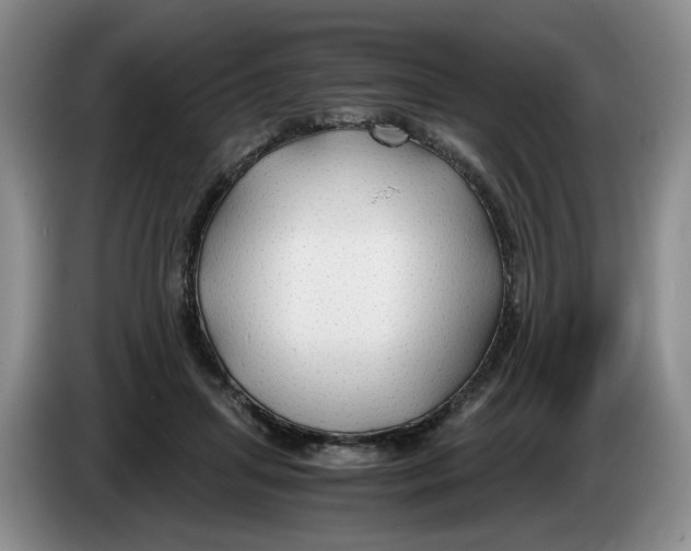 X0000084030455200703092014