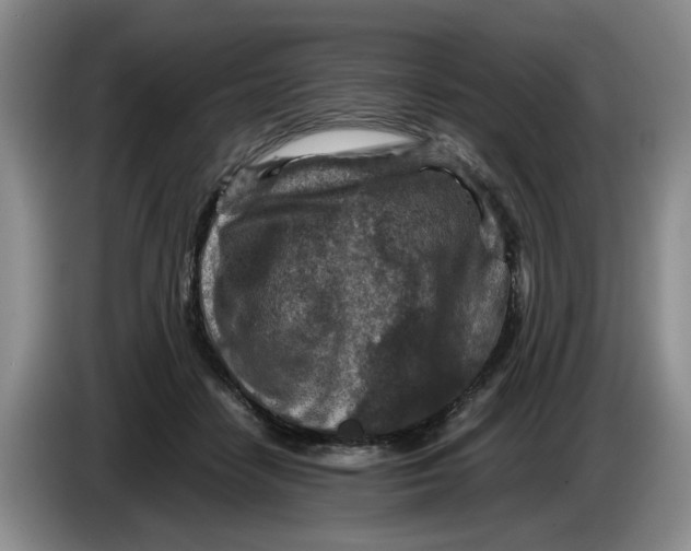 X0000084030458200703092014