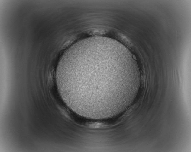 X0000084030460200703092014