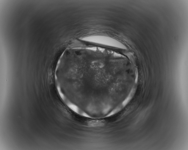 X0000084030465200703092014