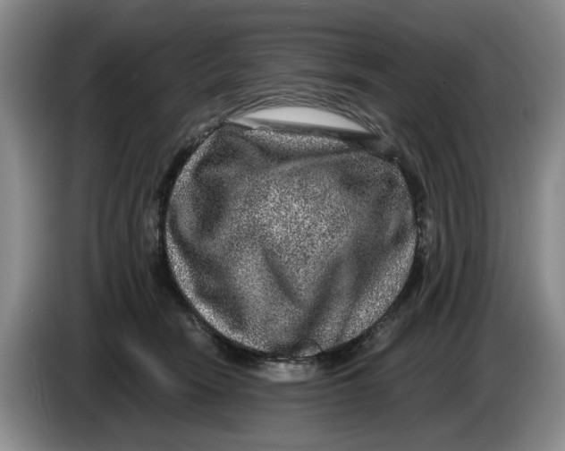 X0000084030466200703092014