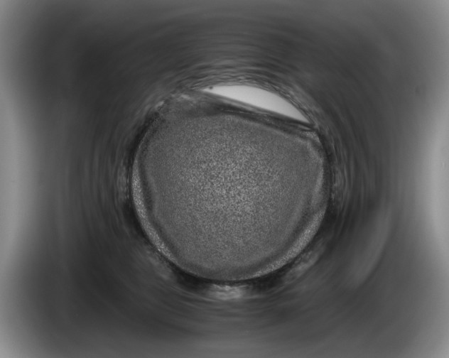 X0000084030469200703092014