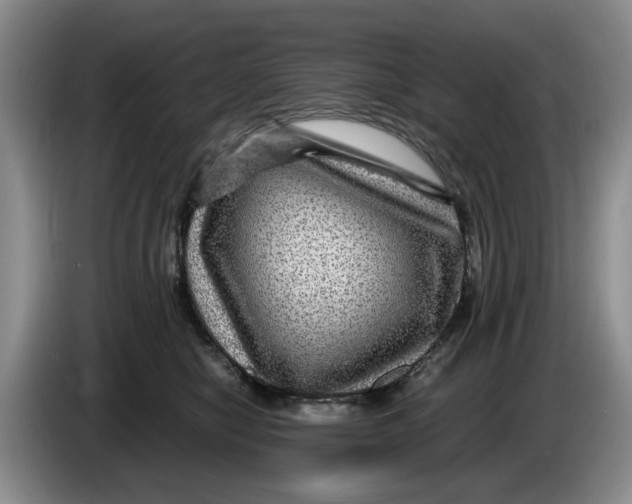 X0000084030470200703092014