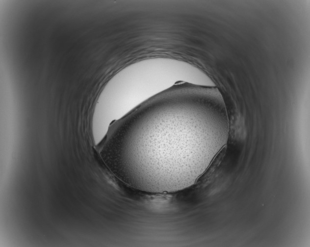 X0000084030474200703092014