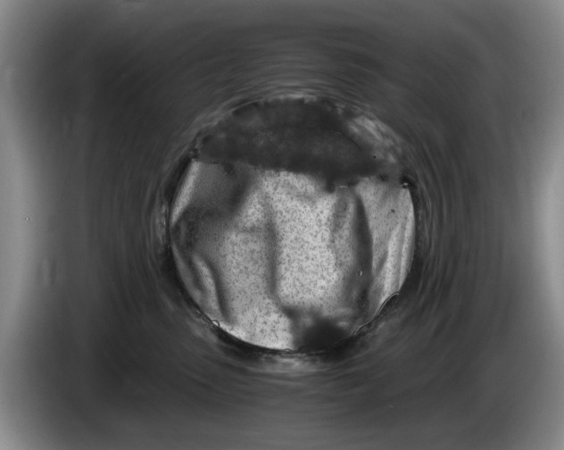 X0000084030475200703092014