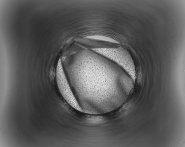 X0000084030476200703092014