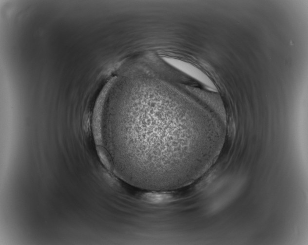 X0000084030477200703092014