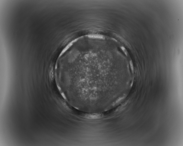 X0000084030479200703092014