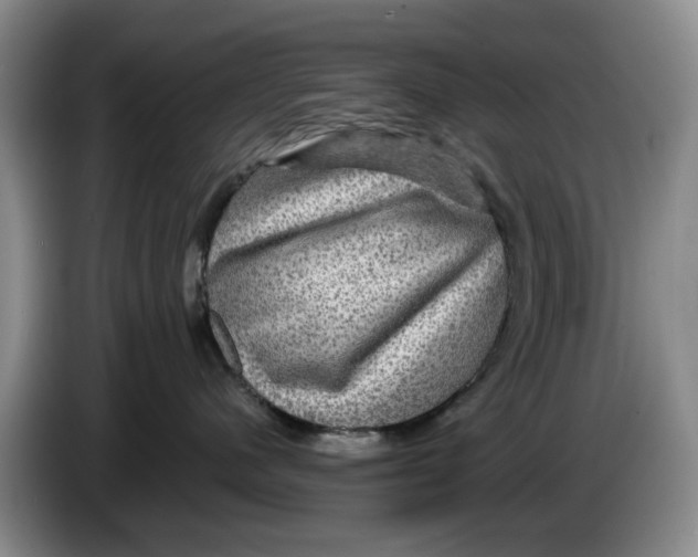 X0000084030480200703092014