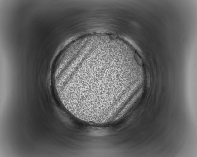 X0000084030486200703092013