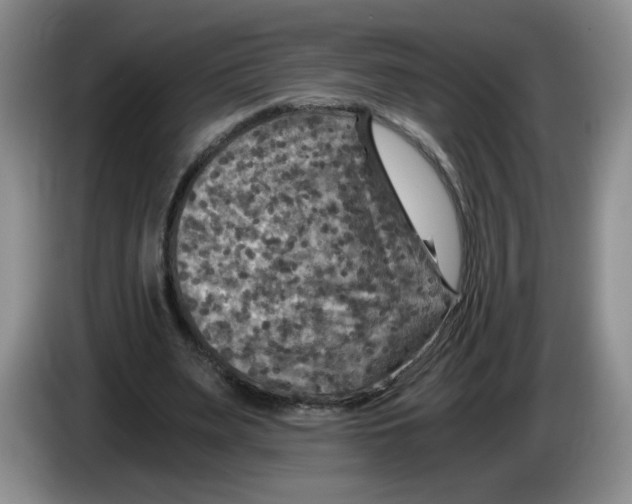 X0000084030487200703092013