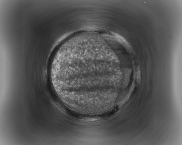 X0000084030488200703092013