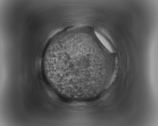 X0000084030491200703092013