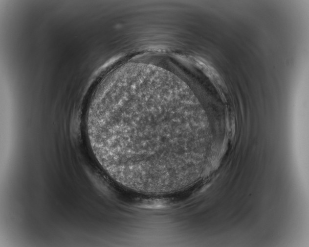 X0000084030492200703092013