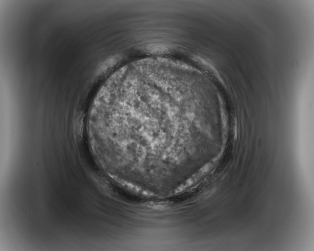 X0000084030495200703092013