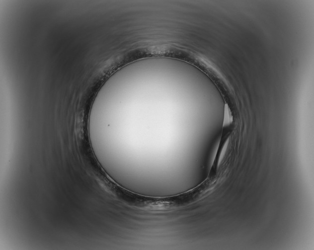 X0000084030497200703092013