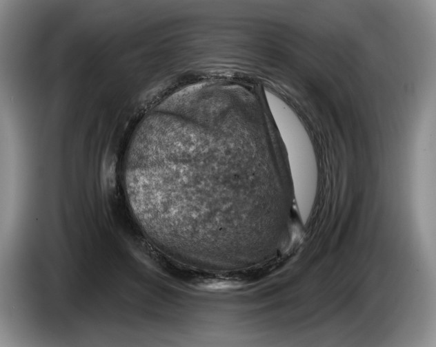 X0000084030504200703092013