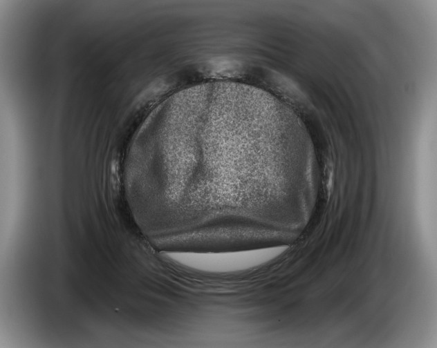 X0000084030506200703092013