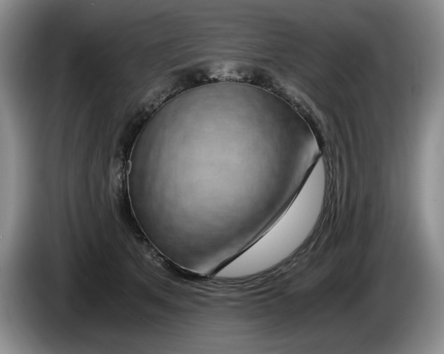 X0000084030513200703092013