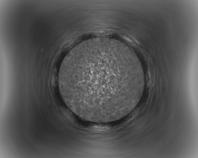 X0000084030515200703092013