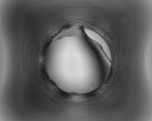 X0000084030521200703092013