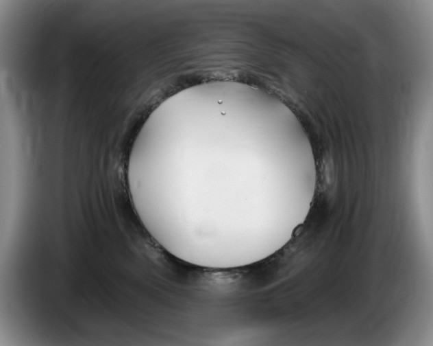 X0000084030522200703092013