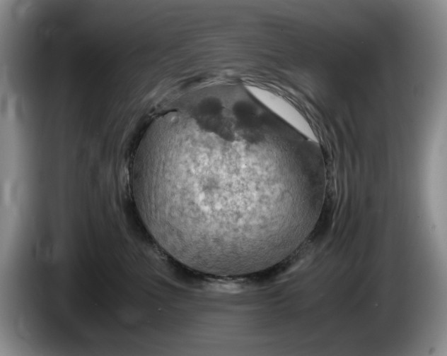 X0000084030523200703092013