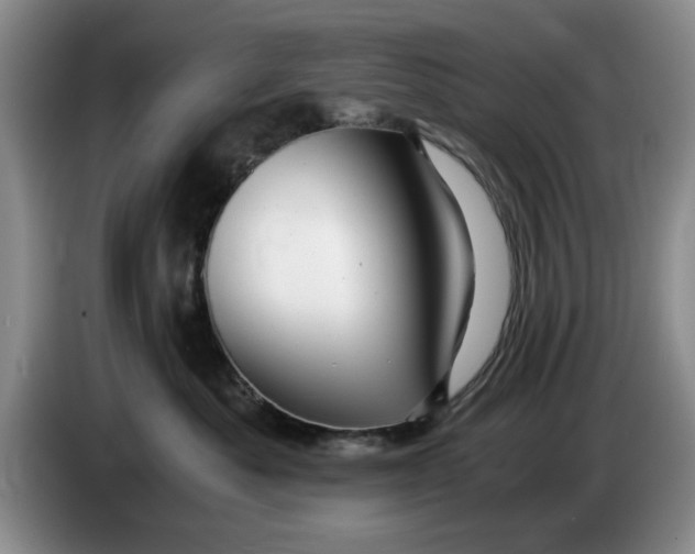 X0000084030525200703092013