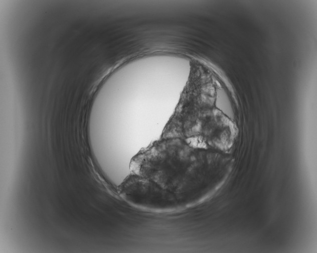 X0000084030529200703092012