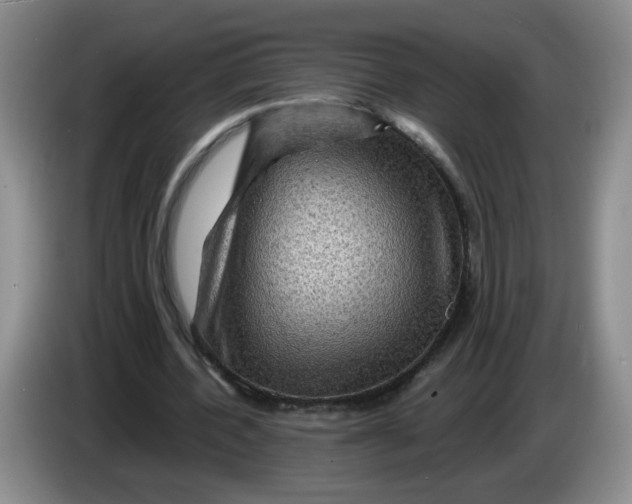 X0000084030532200703092012