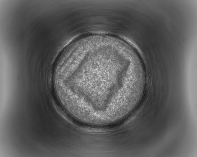 X0000084030533200703092012