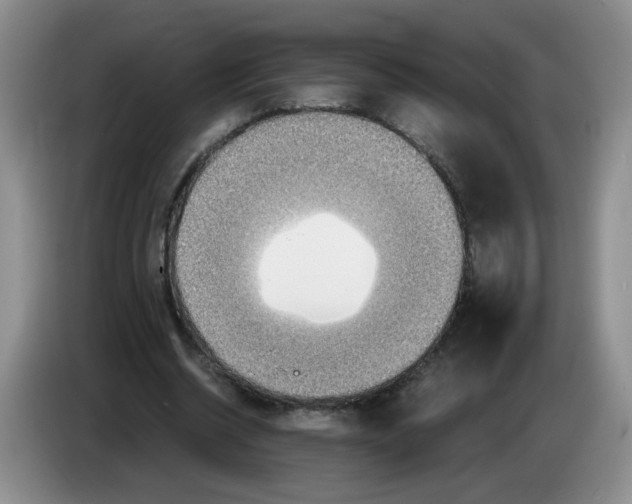 X0000084030534200703092012