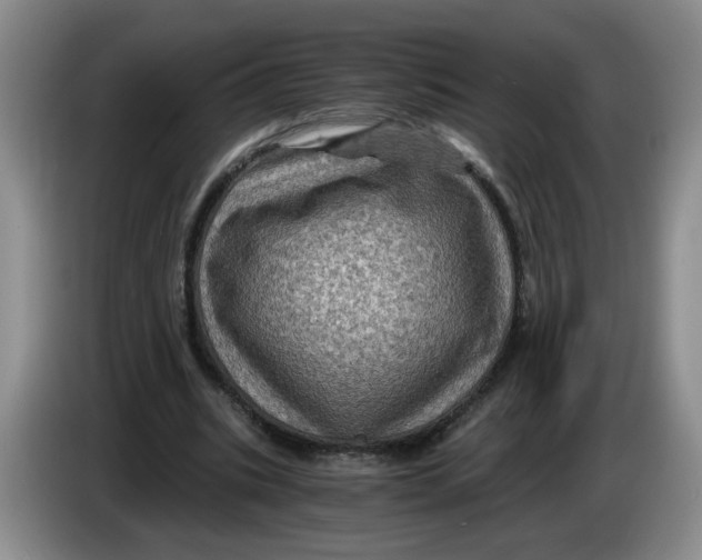 X0000084030535200703092012