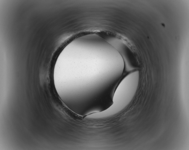 X0000084030536200703092012