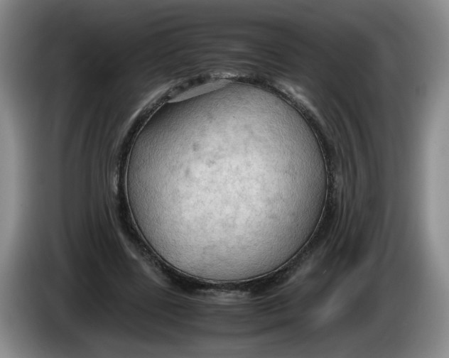 X0000084030539200703092012