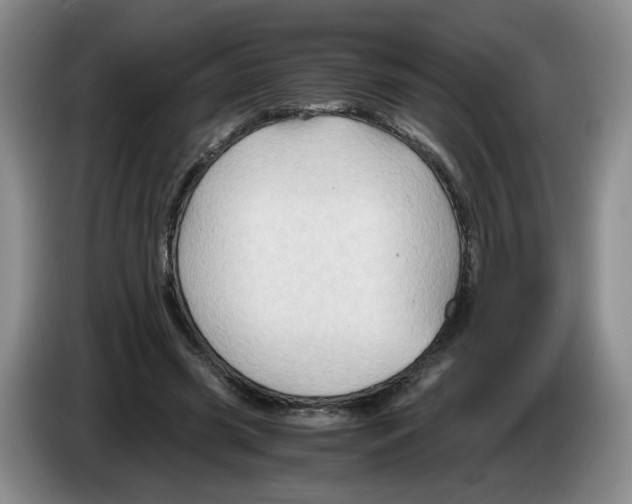 X0000084030541200703092012