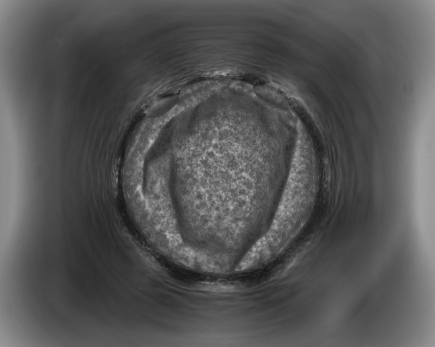 X0000084030545200703092012