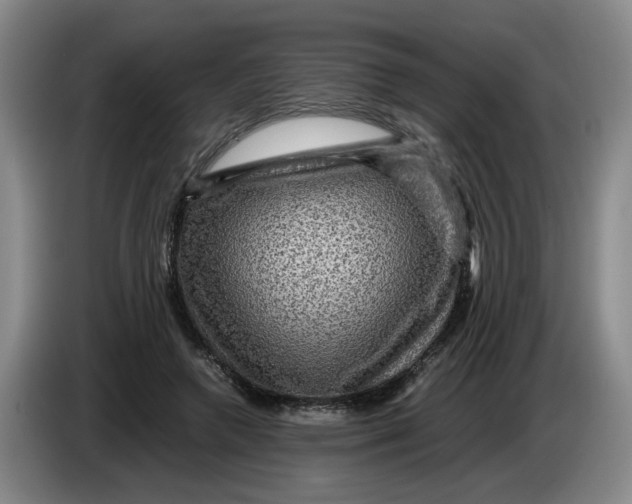 X0000084030546200703092012