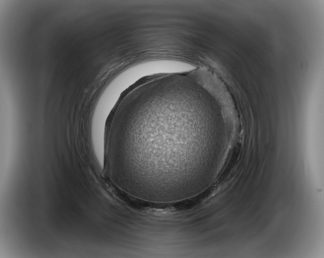 X0000084030548200703092012