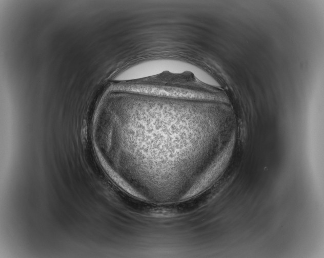 X0000084030549200703092012