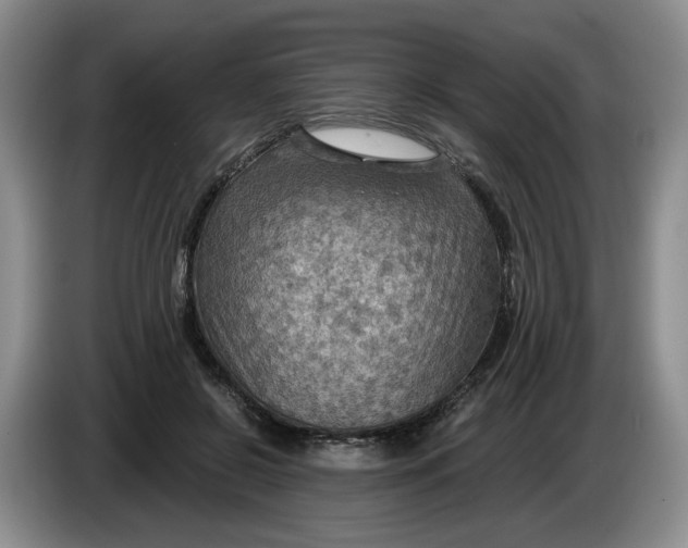 X0000084030550200703092012