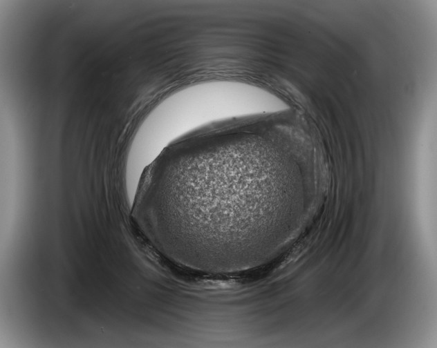 X0000084030552200703092012