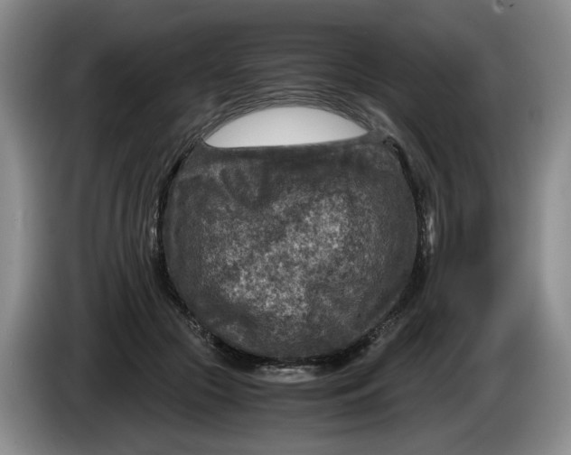 X0000084030553200703092012